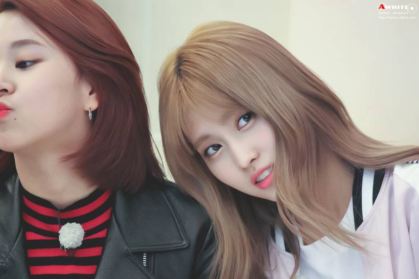 트와이스 좁발이 | 인스티즈