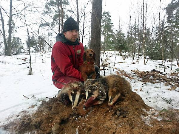 견종 이야기 - 닥스훈트 | 인스티즈