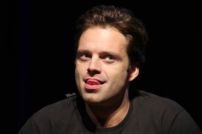 [세바스찬스탠] 코믹콘에서도 밈(meme)의 제왕 세즈 | 인스티즈