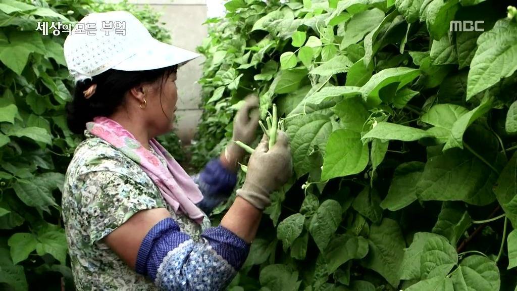 흔한 중국부자의 밥먹는 스케일.jpg | 인스티즈