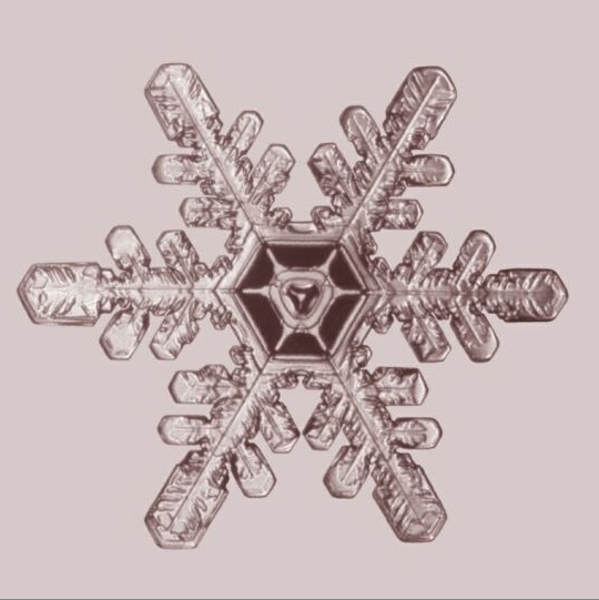 자연의 신비 - 눈결정 | 인스티즈