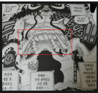 이순신 장군은 루피의 모델이 되었다(모모노스케의 정체) | 인스티즈