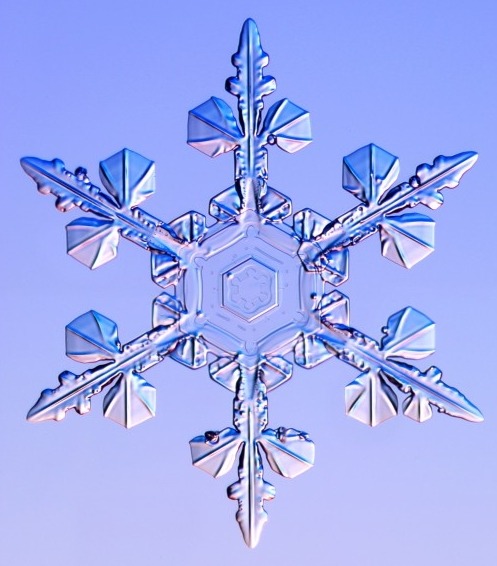 자연의 신비 - 눈결정 | 인스티즈