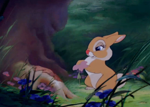 닮은 동물이 많은 미나토자키 사나.gif | 인스티즈