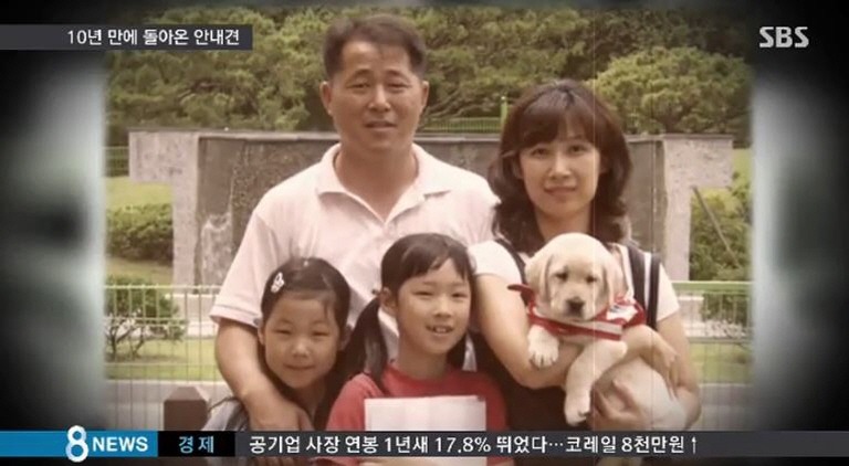 한국.. 10년간 맹인 안내견으로 살아오다 은퇴한 풍금이.. | 인스티즈