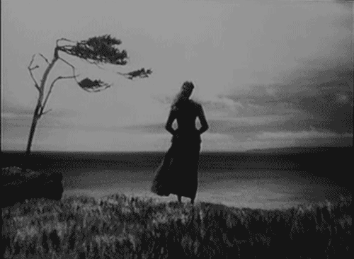 괴이하고 공포스러운 사진들.gif (혐오주의) | 인스티즈