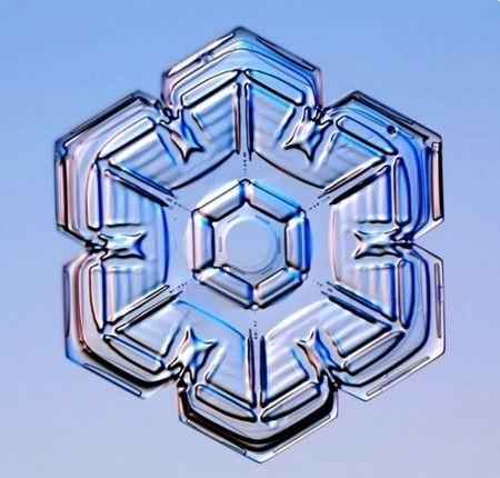 자연의 신비 - 눈결정 | 인스티즈