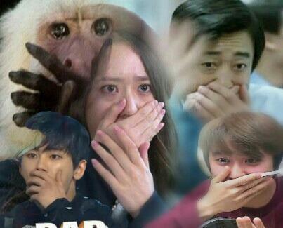 사람들이 잘 모르는 파워디지몬 죠그레스 진화 (합체 진화) 디지몬의 궁극체 | 인스티즈