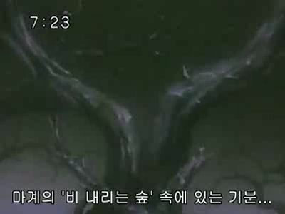 슈가슈가룬 1화: 초콜릿과 하트의 별똥별 下 | 인스티즈