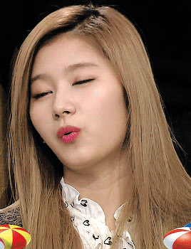 닮은 동물이 많은 미나토자키 사나.gif | 인스티즈