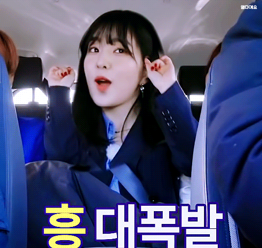 아이린의 기묘한 자동차 여행.gif | 인스티즈