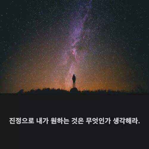 내가 하려는 거에 1년만 미쳐보자 | 인스티즈