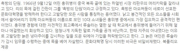 중국 문화대혁명 | 인스티즈