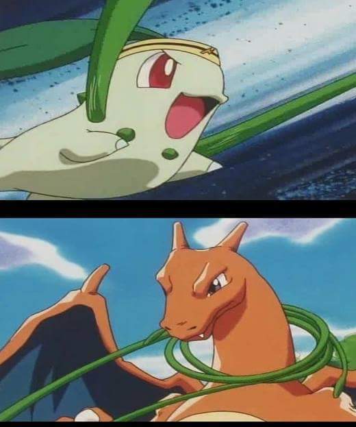 포켓몬스터 지우 인성 수준.jpg | 인스티즈