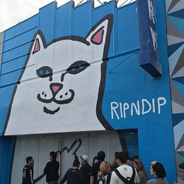 [ripndip] 유명 고양이 아이템 | 인스티즈