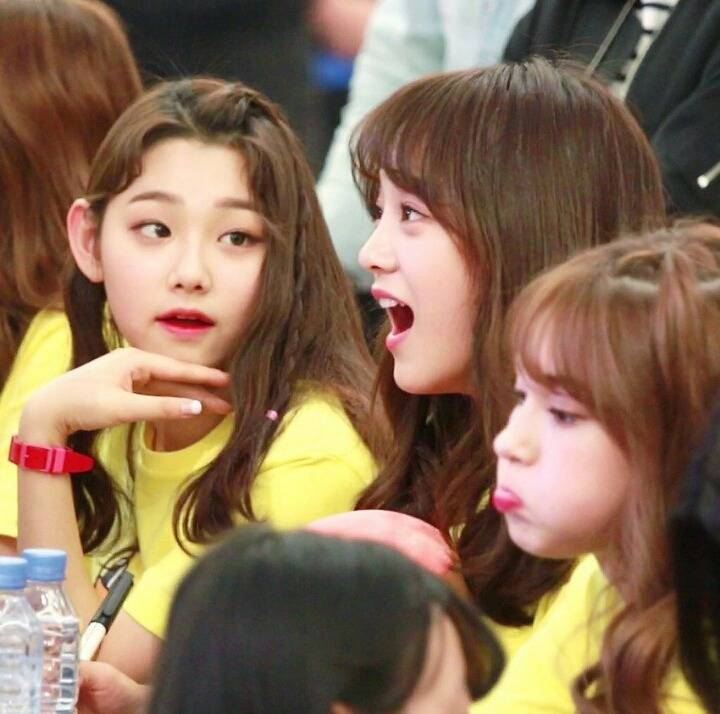 강미나 팬들의 끊이지 않는 논쟁 | 인스티즈