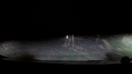 텍사스 돼지 사냥.GIF | 인스티즈