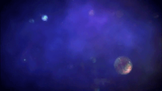 우리가 사는 우주 외에 또다른 우주가 무수히 존재한다 .jpg | 인스티즈