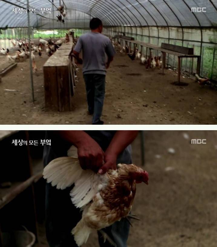 중국여자랑 결혼한 일반인 한국남자 | 인스티즈