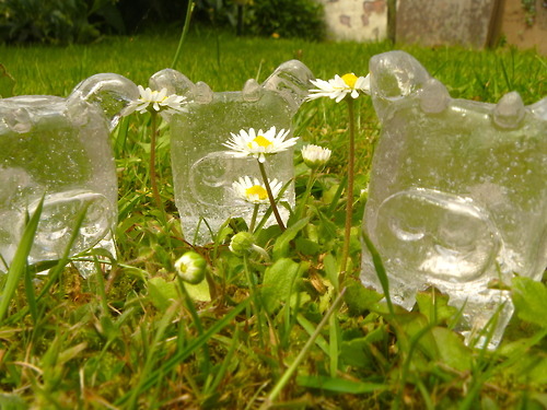 [돼지] 돼지인듯 돼지아닌 돼지같은 돼지 | 인스티즈