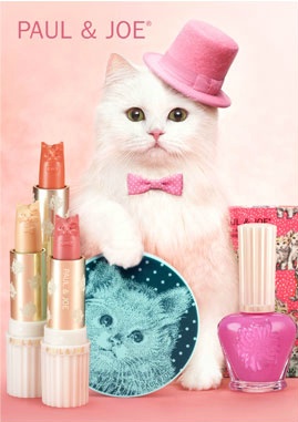 무한 소장욕구 들게하는 화장품 폴 앤 조(paul & joe) 코스메틱 (feat. 고양이덕후 소환) | 인스티즈