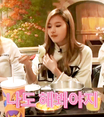 닮은 동물이 많은 미나토자키 사나.gif | 인스티즈