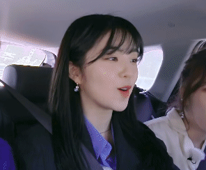 아이린의 기묘한 자동차 여행.gif | 인스티즈