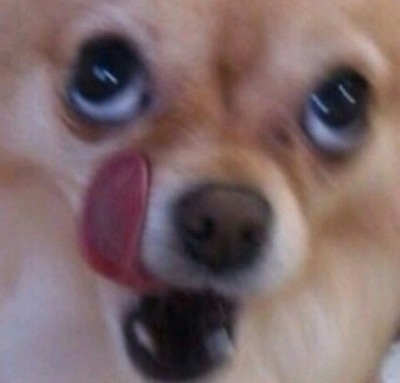 대구의 마약 옥수수 | 인스티즈