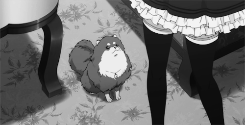 2D 강아지 (움짤多/ | 인스티즈