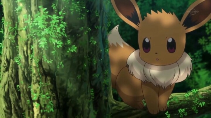 해도해도 너무너무너무 귀여운 포켓몬 .jpgif | 인스티즈