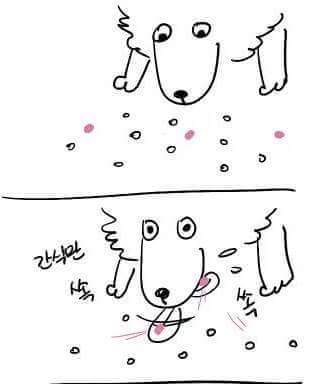 개 키우는 사람 공감97.5퍼 만화 | 인스티즈