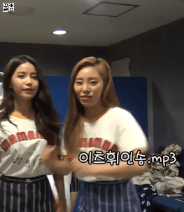 휘인 움짤털이 | 인스티즈