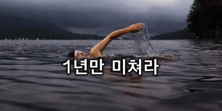 내가 하려는 거에 1년만 미쳐보자 | 인스티즈