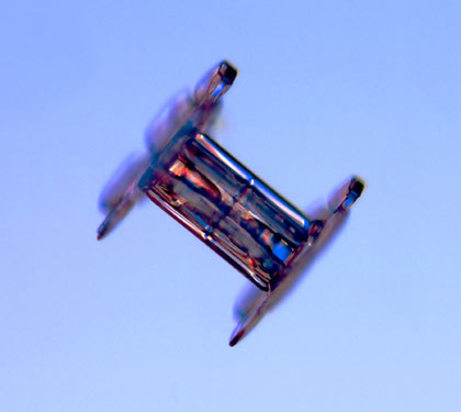 자연의 신비 - 눈결정 | 인스티즈