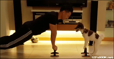 [유머] 강아지와 같이 운동 | 인스티즈