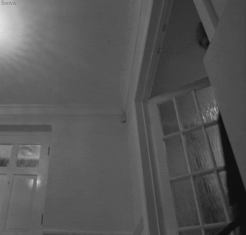 괴이하고 공포스러운 사진들.gif (혐오주의) | 인스티즈