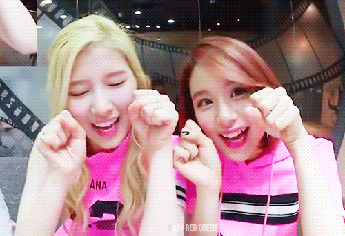 트와이스 사나 채영 카메라 근접 꽁냥.gif | 인스티즈
