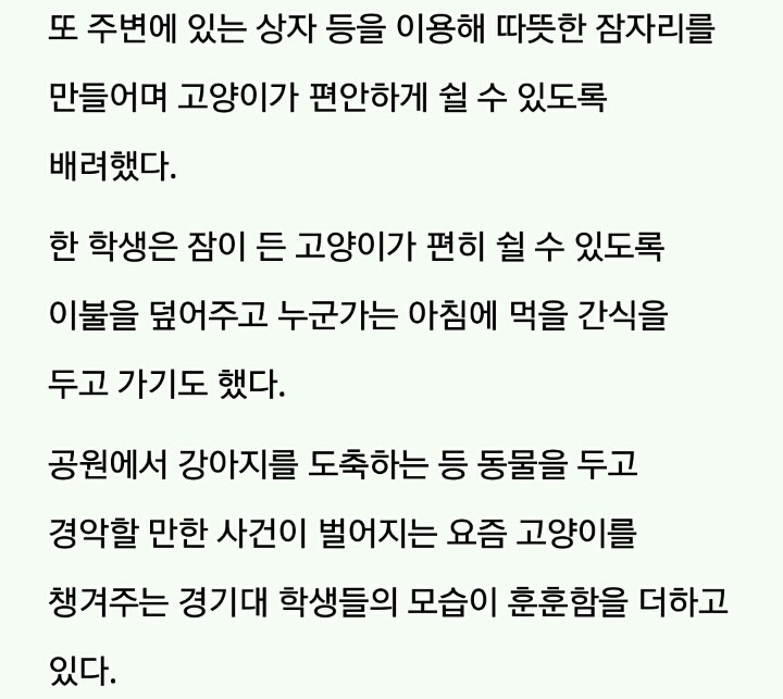 추위 피해 도서관 들어온 길냥이에게 집·이불 내준 경기대 학생들 | 인스티즈