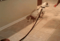 남편에게 아이를 맡기면 안되는이유.JPGIF (BGM | 인스티즈