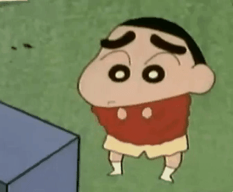 스탠다드 푸들.jpg(놀람주의) | 인스티즈