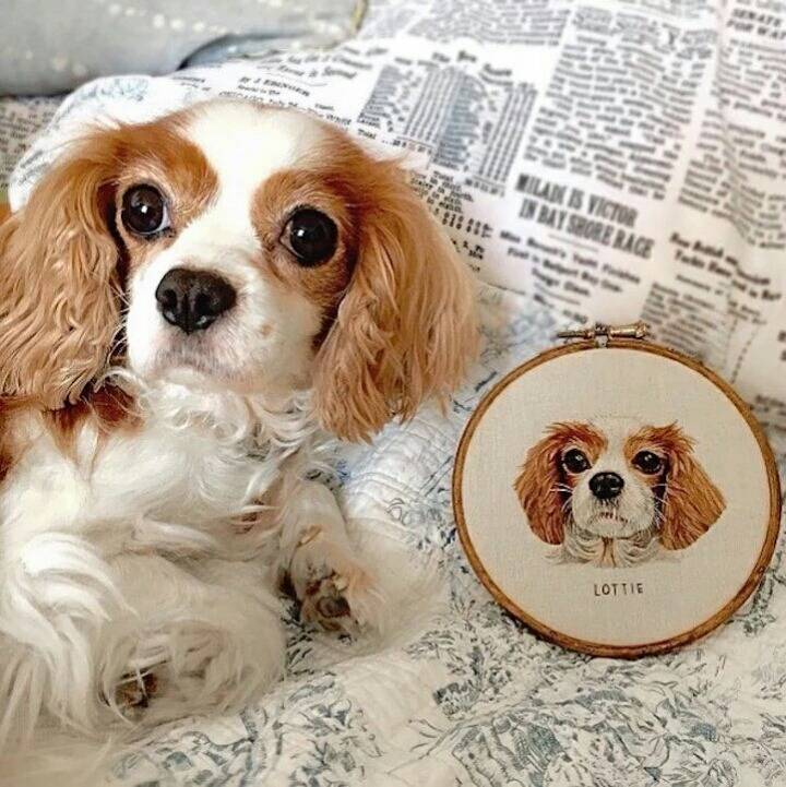 자수로 만든 반려동물 극사실주의 작품.jpg | 인스티즈