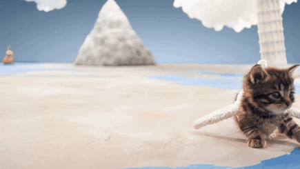 세계여행하는 냥이.gif | 인스티즈