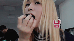 잘 먹는 모모.gif | 인스티즈