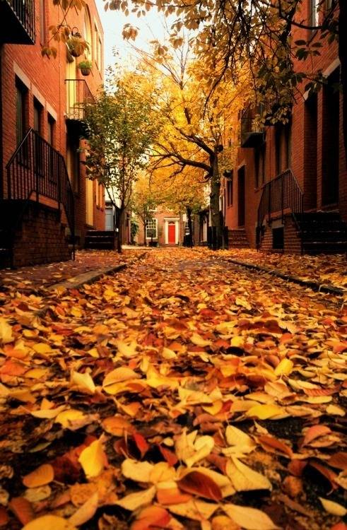  걷고 싶은 거리 고르기 | 인스티즈