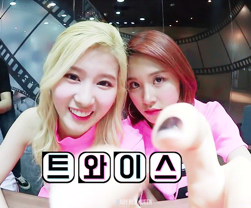 트와이스 사나 채영 카메라 근접 꽁냥.gif | 인스티즈