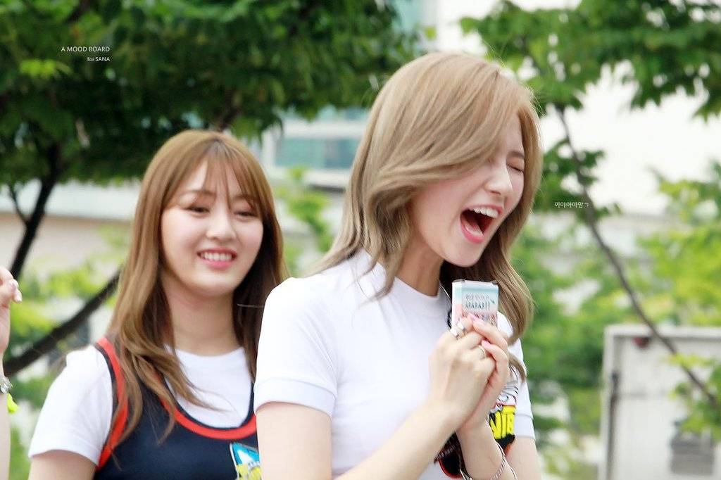 살찔 기미가 보이는 사나.jpg | 인스티즈