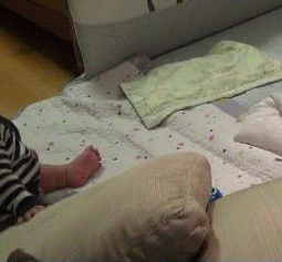 꼬물꼬물 너무 귀여운 이휘재네 쌍둥이 서언이 서준이 움짤 | 인스티즈