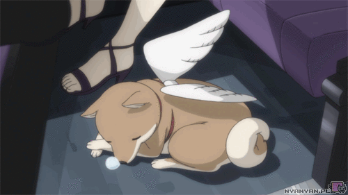 2D 강아지 (움짤多/ | 인스티즈