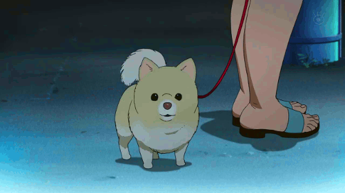 2D 강아지 (움짤多/ | 인스티즈