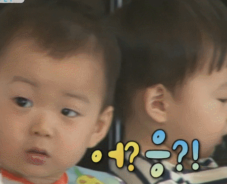 걸어다니는 애교주머니 민국이 모음 (데이터주의!) | 인스티즈